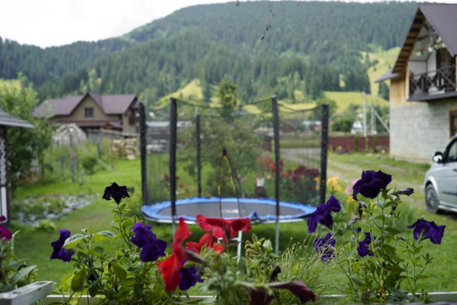 Садиба Файна Гофа Verkhovyna Exterior foto
